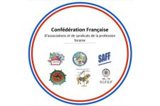 Photo de Confédération des Industriels Forains Photo de Confédération des Industriels Forains