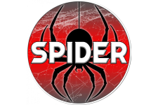 Photo de Spider Photo de Spider